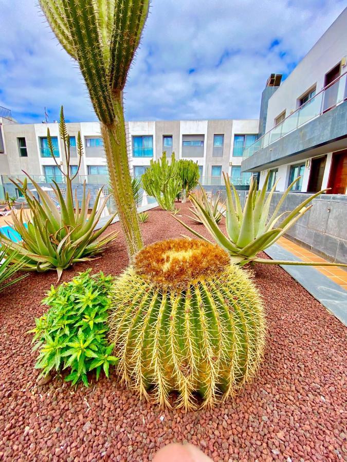 Mar De Fuerteventura 2 Appartement Corralejo